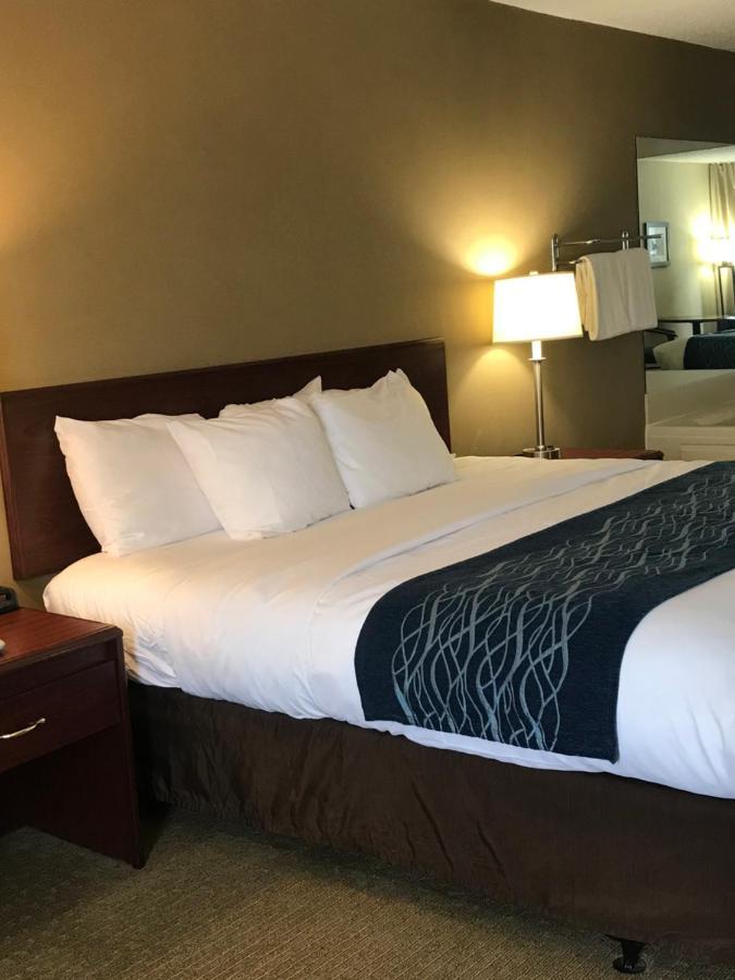 Comfort Inn Cambridge Kültér fotó
