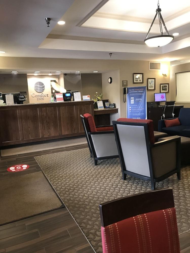 Comfort Inn Cambridge Kültér fotó